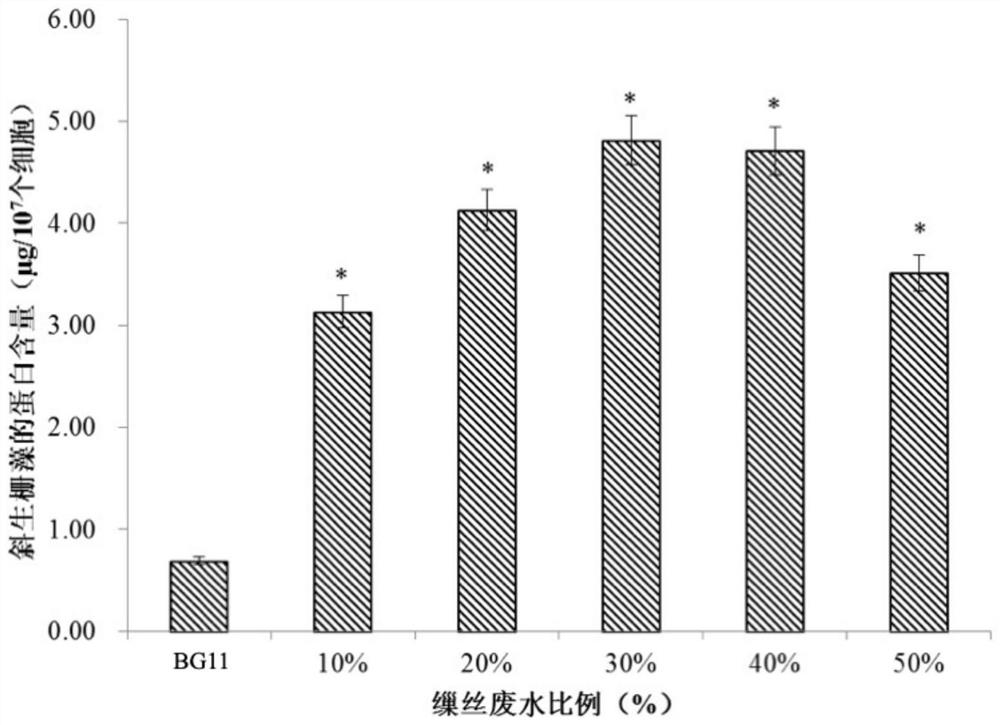 A method for improving the growth rate and protein content of microalgae by using silk reeling wastewater