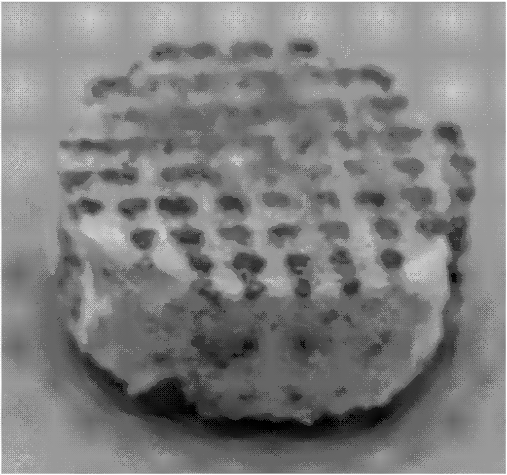Porous metal bone implant material and its preparation method and application
