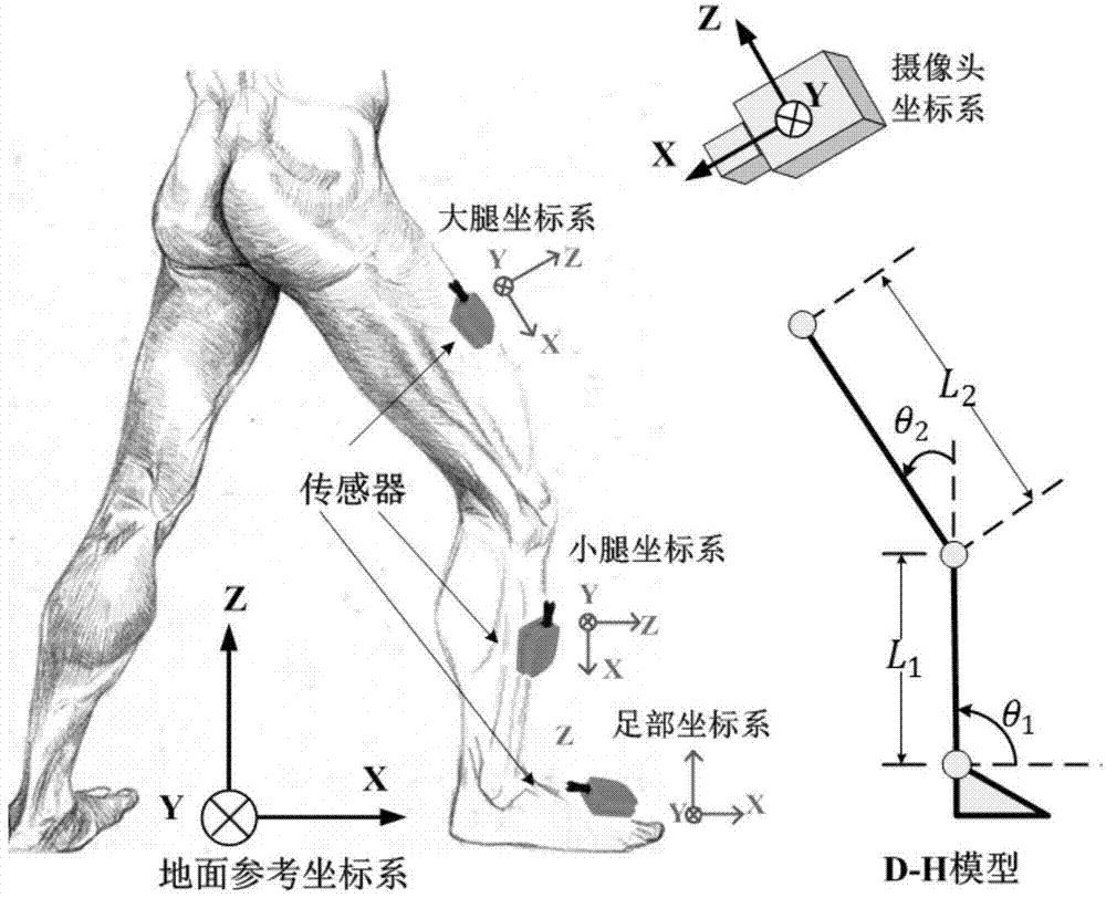 Human gait analyzing method and system based on multi-sensor fusion