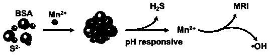 Nanometer diagnosis and treatment agent and preparation method and application thereof