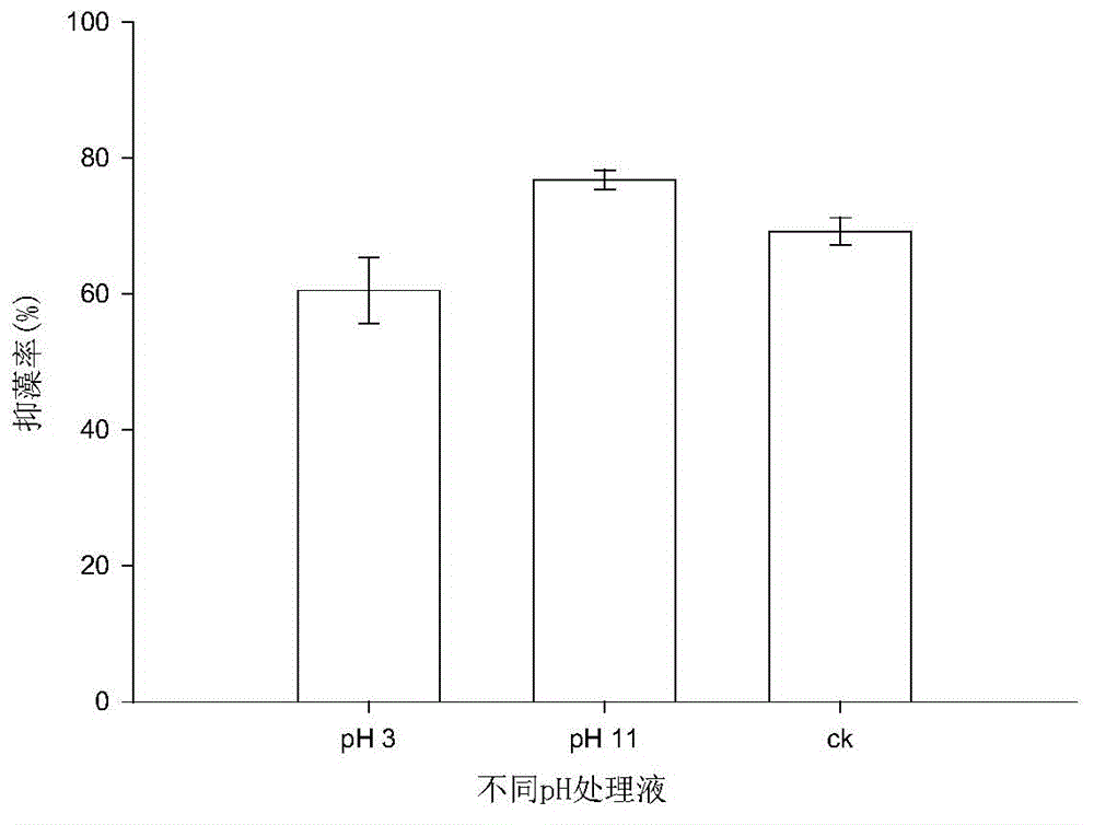 Palmitoleic acid, an algae-inhibiting active substance derived from marine bacteria, and its preparation method