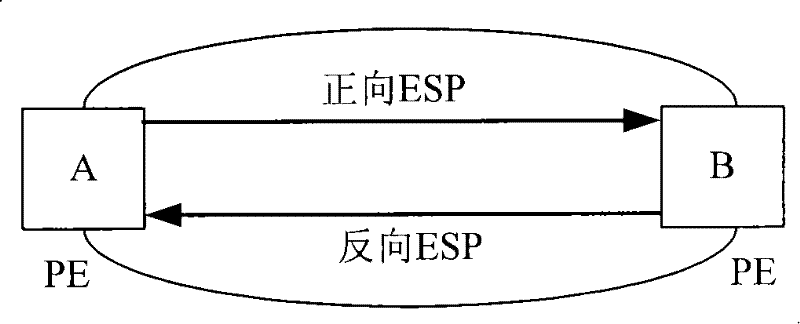 Method and device for establishing pseudowire mapping