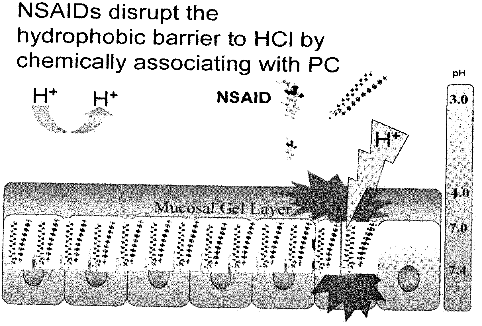 Oil-based nsaid compositions and methods for making and using same