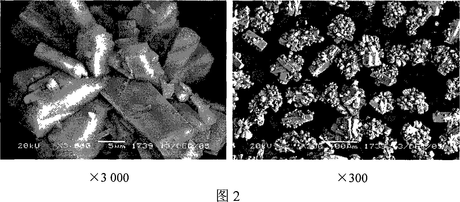 Method for preparing anode material of lithium ion battery in series of phosphate of olivine type