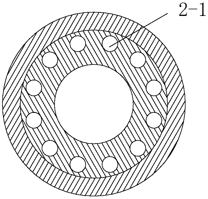 Downhole injection device being able to change polymer viscosity