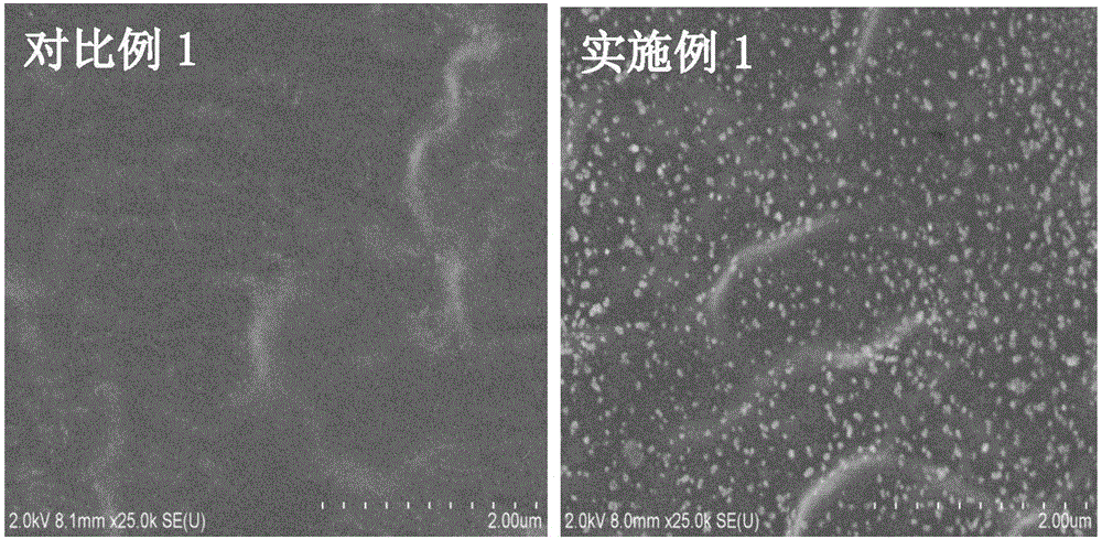 Preparation method of antibacterial polyvinyl alcohol/cellulose nanocrystal-graphene oxide (PVA/CNC-GO) composite film
