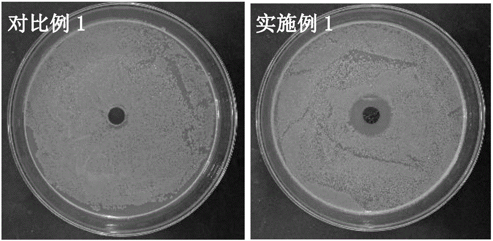 Preparation method of antibacterial polyvinyl alcohol/cellulose nanocrystal-graphene oxide (PVA/CNC-GO) composite film