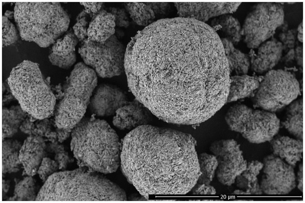 Silicon carbon material as well as preparation method and application thereof