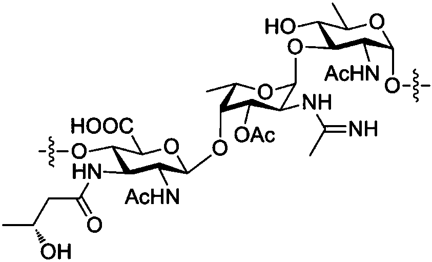 Chemical synthesis method of plesiomonas shigelloides O51 serotype O-antigen oligosaccharide