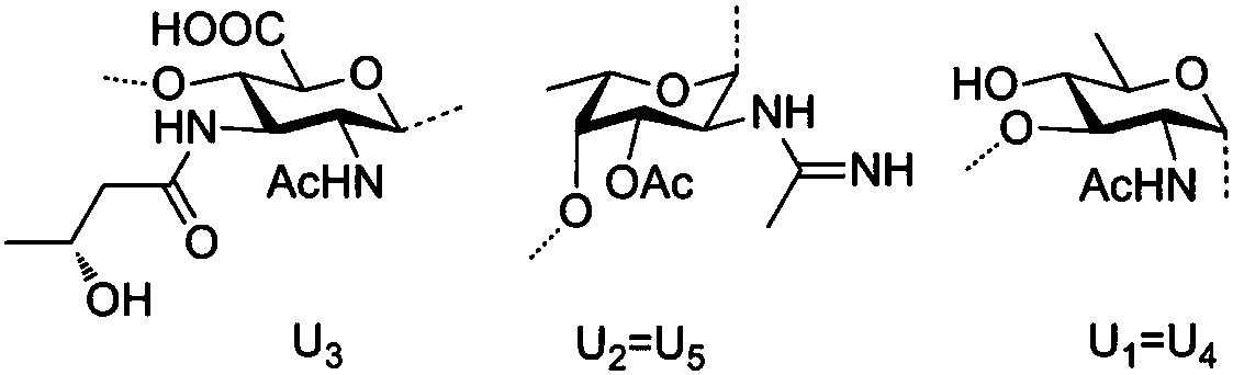 Chemical synthesis method of plesiomonas shigelloides O51 serotype O-antigen oligosaccharide