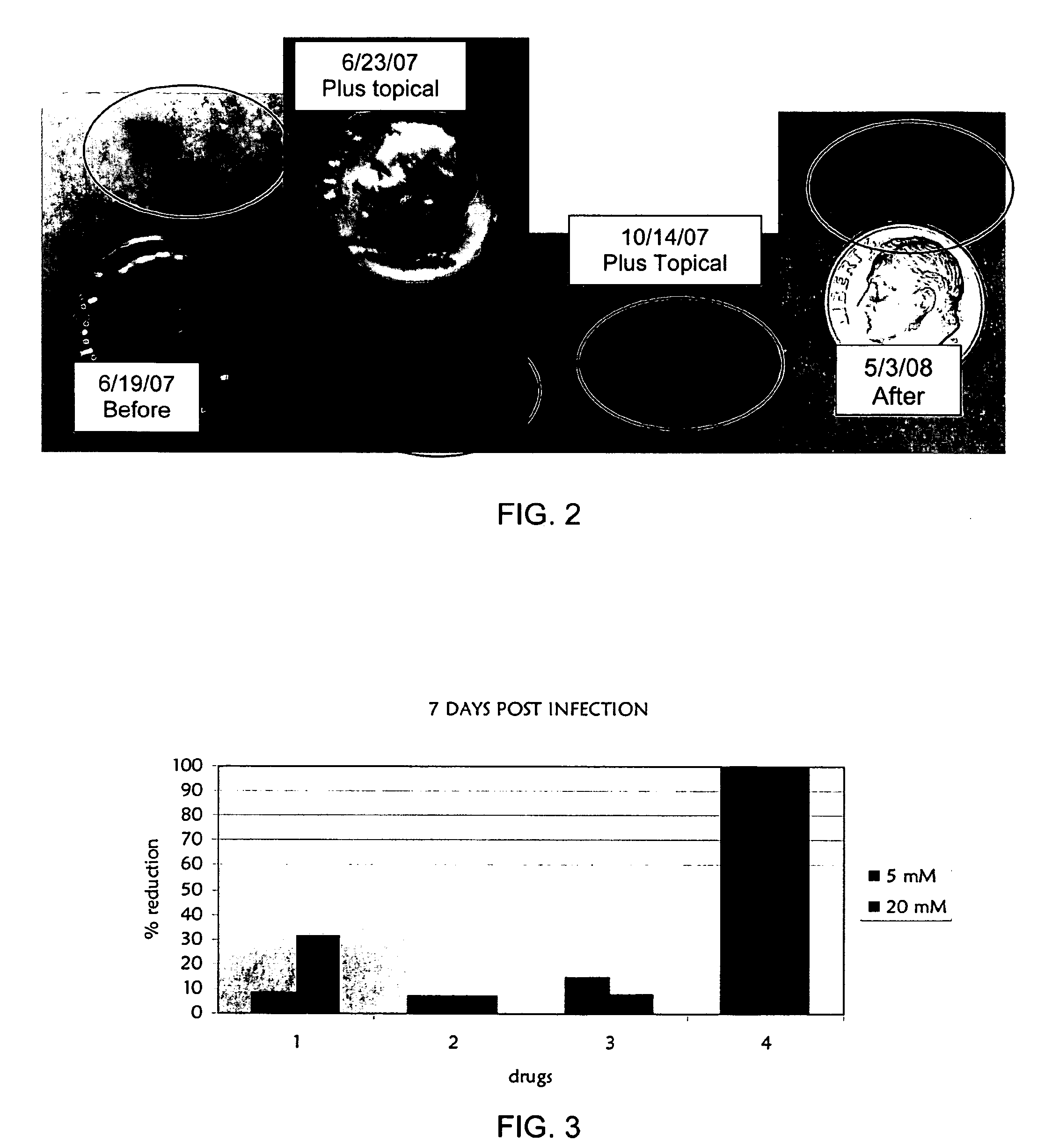 Lipid raft, caveolin protein, and caveolar function modulation compounds and associated synthetic and therapeutic methods