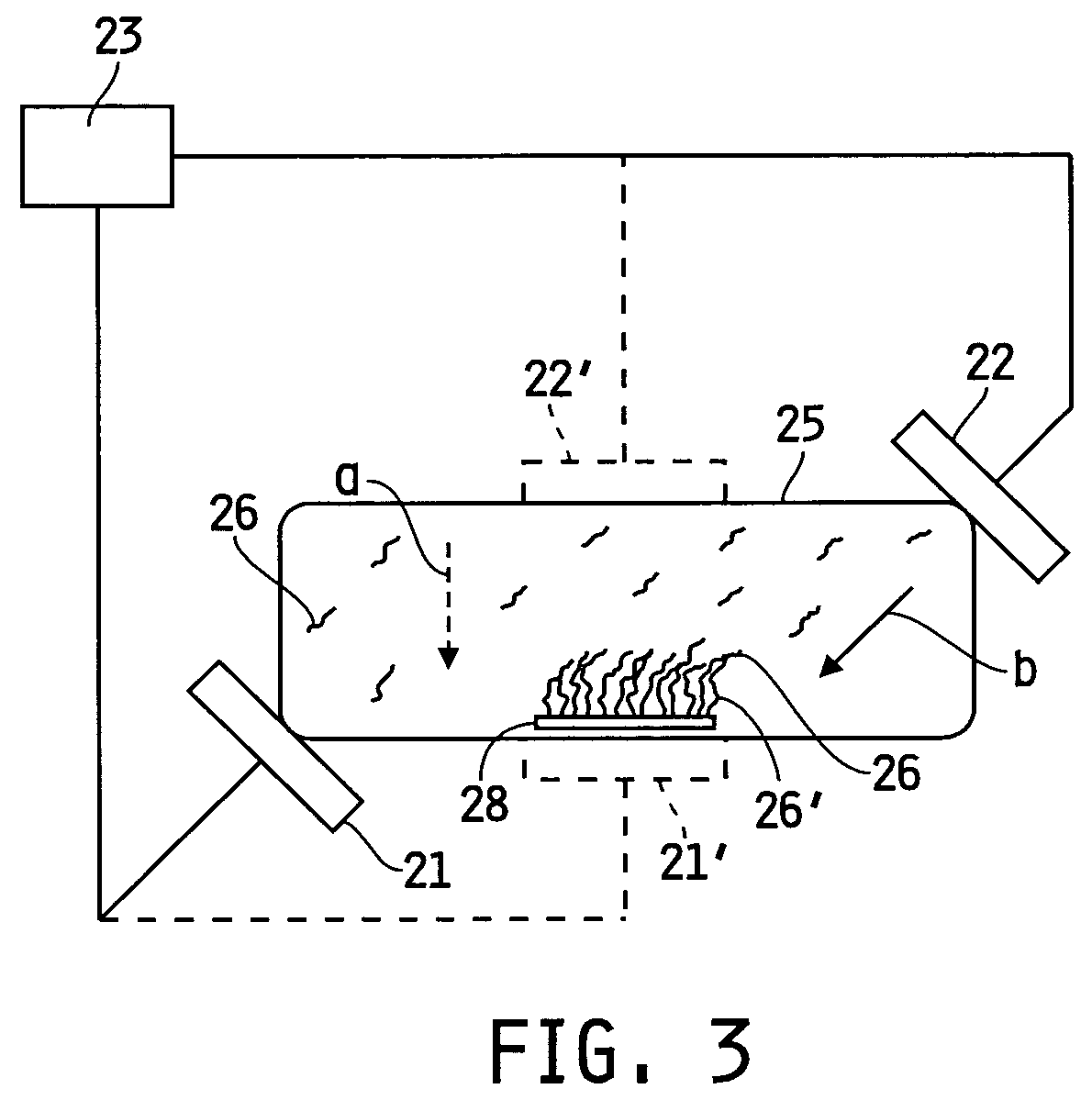 Method for organizing the assembly of collagen fibers and compositions formed therefrom