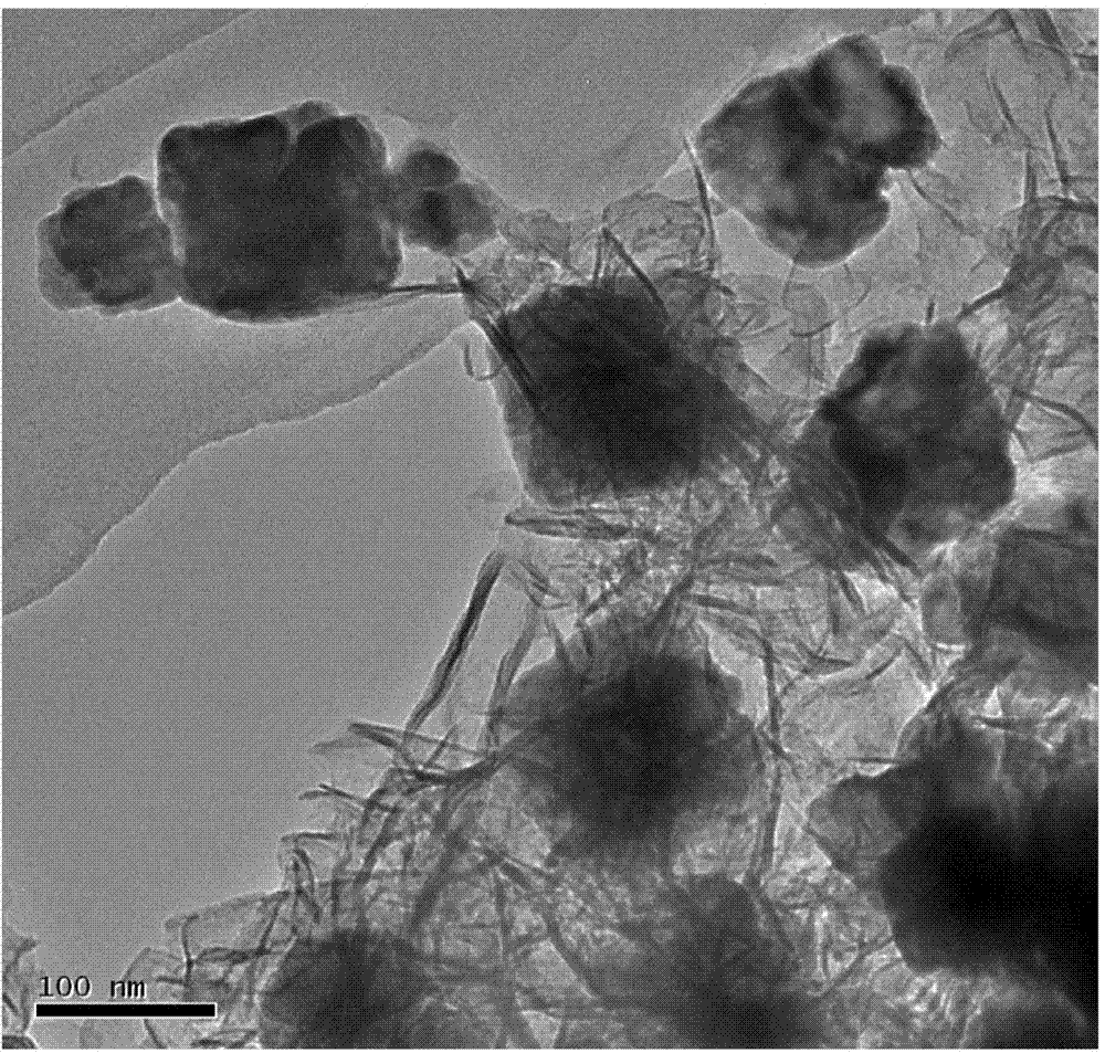 Ni/Fe double-metal face-centered cubic crystal nano-particles and preparing method and application thereof