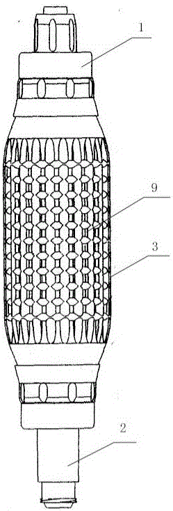 A shuttle-shaped scale-shaped positive and negative pressure dual-phase hand pump