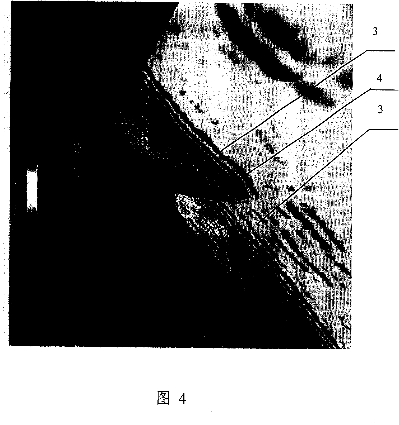 Method for automatic tracking 3D geological horizon