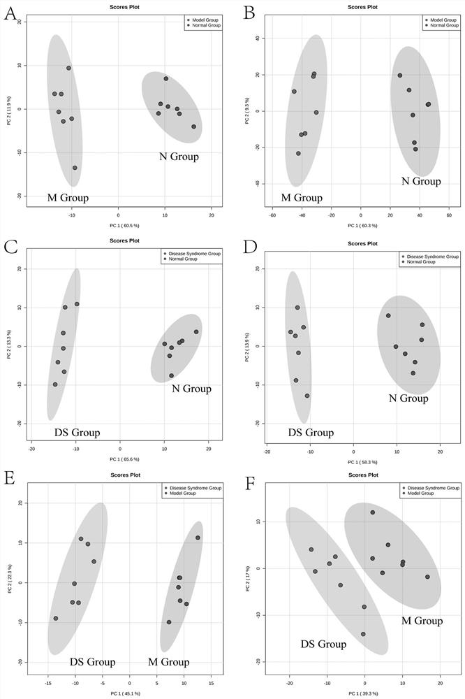 A method for discriminating a rat model of hypertension with hyperactivity of liver-yang syndrome and its application