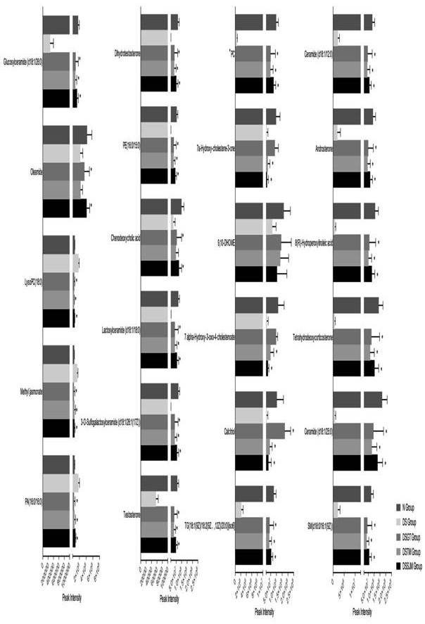 A method for discriminating a rat model of hypertension with hyperactivity of liver-yang syndrome and its application