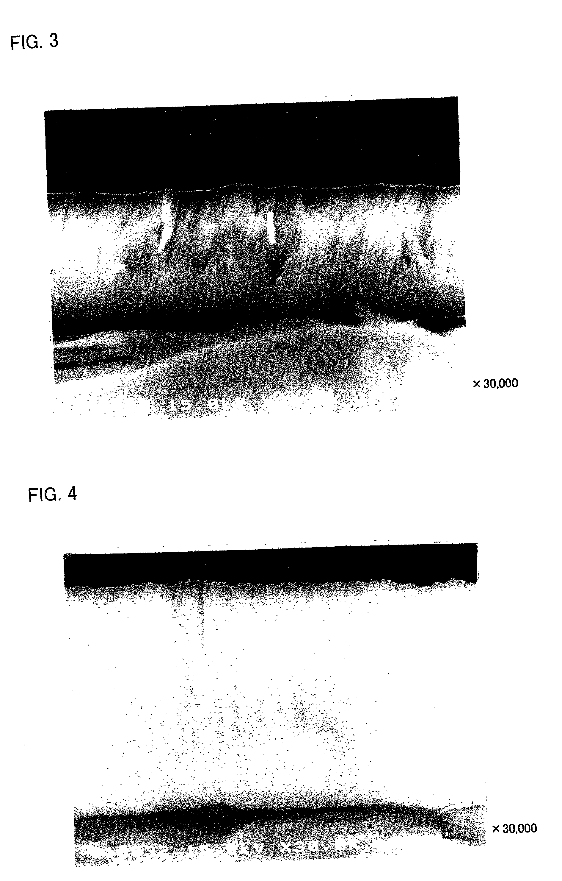 Lithium secondary battery and positive electrode for lithium secondary battery