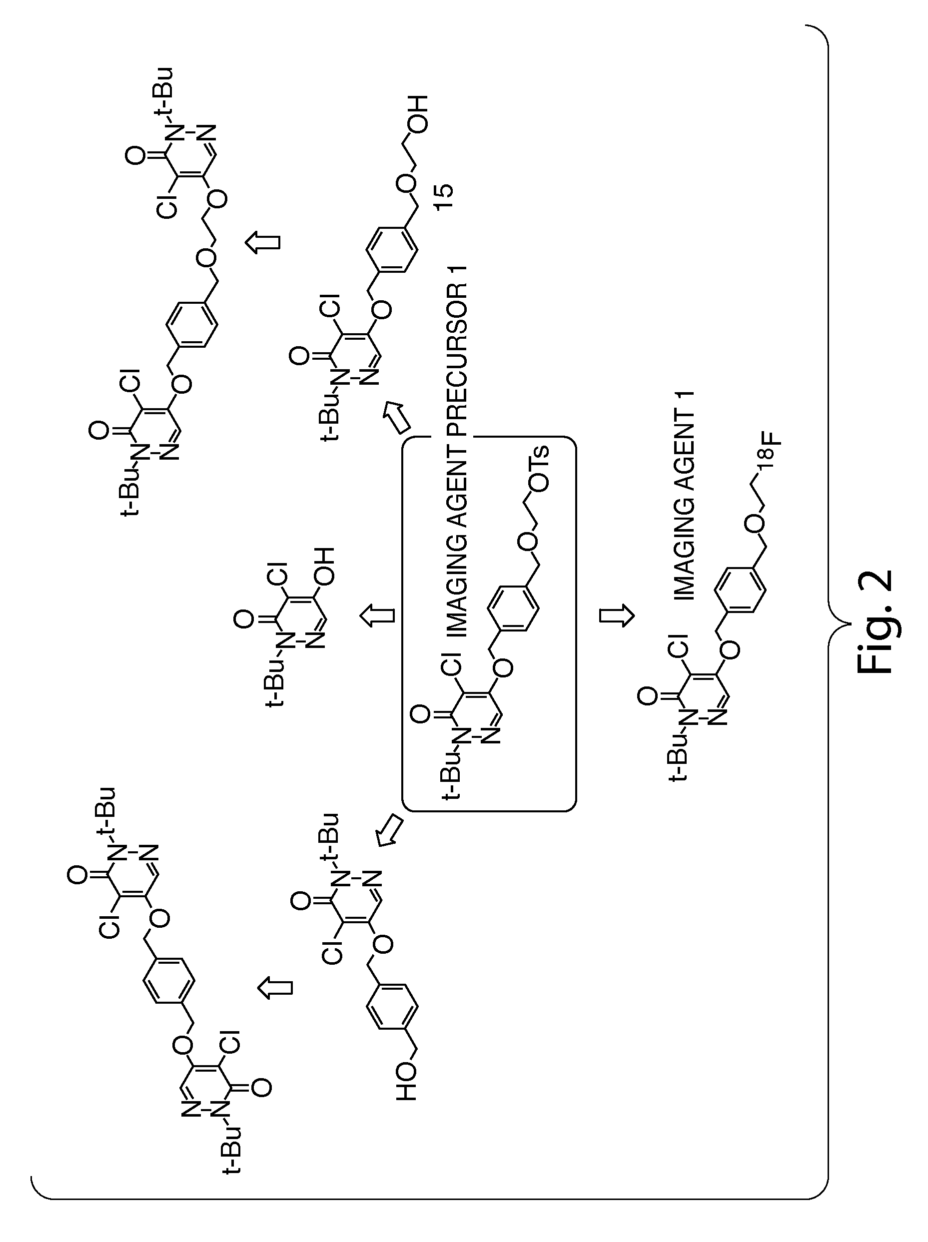 Methods and apparatus for synthesizing imaging agents, and intermediates thereof