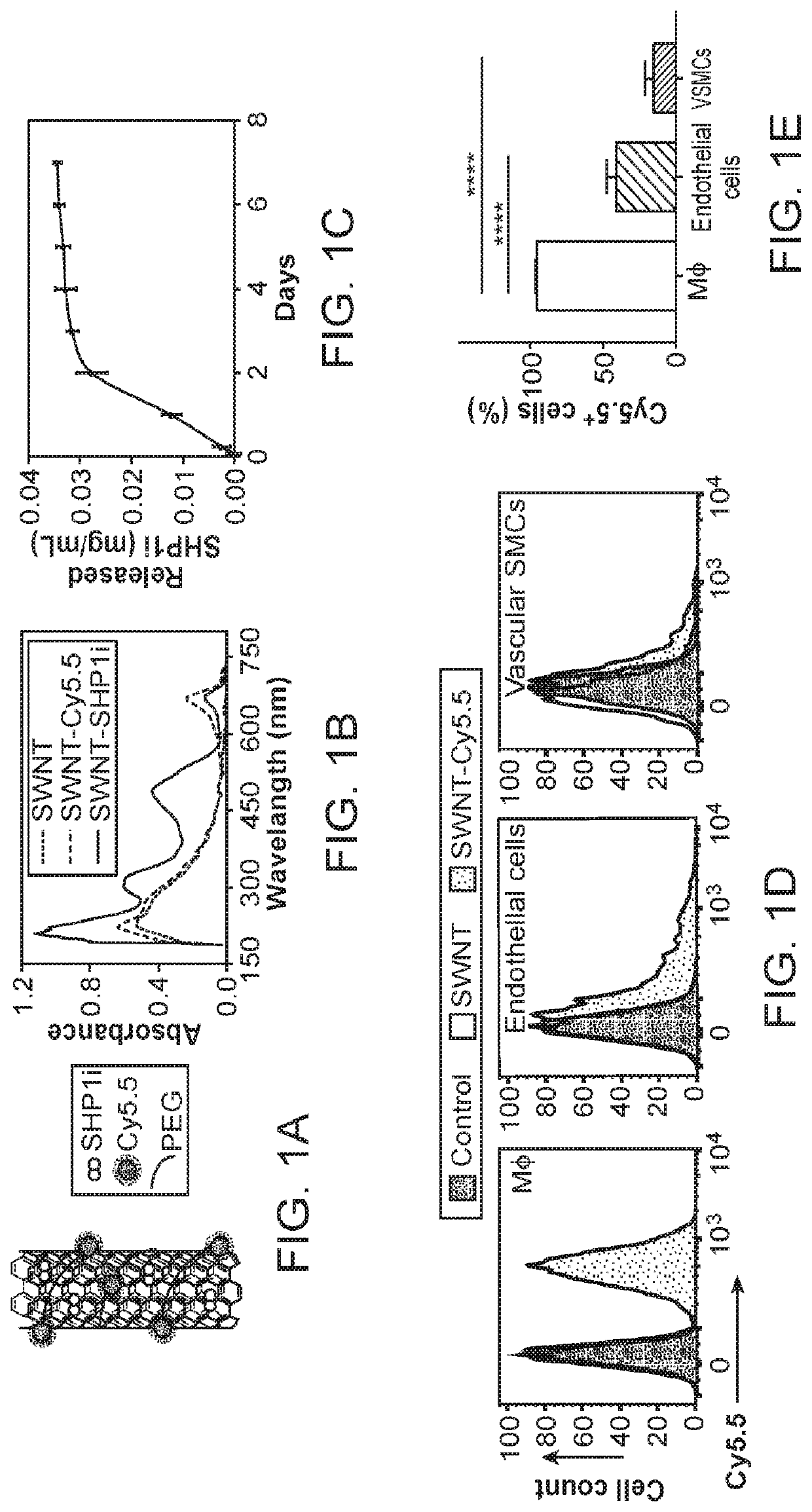 Monocyte-selective drug delivery system using single-walled carbon nanotubes to induce efferocytosis