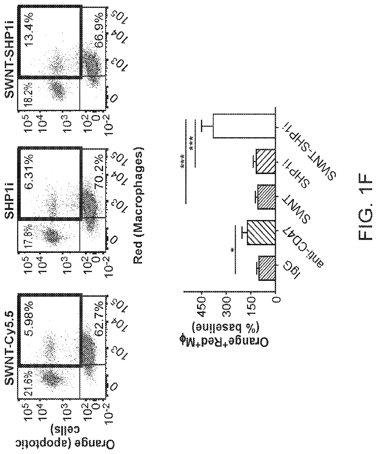 Monocyte-selective drug delivery system using single-walled carbon nanotubes to induce efferocytosis