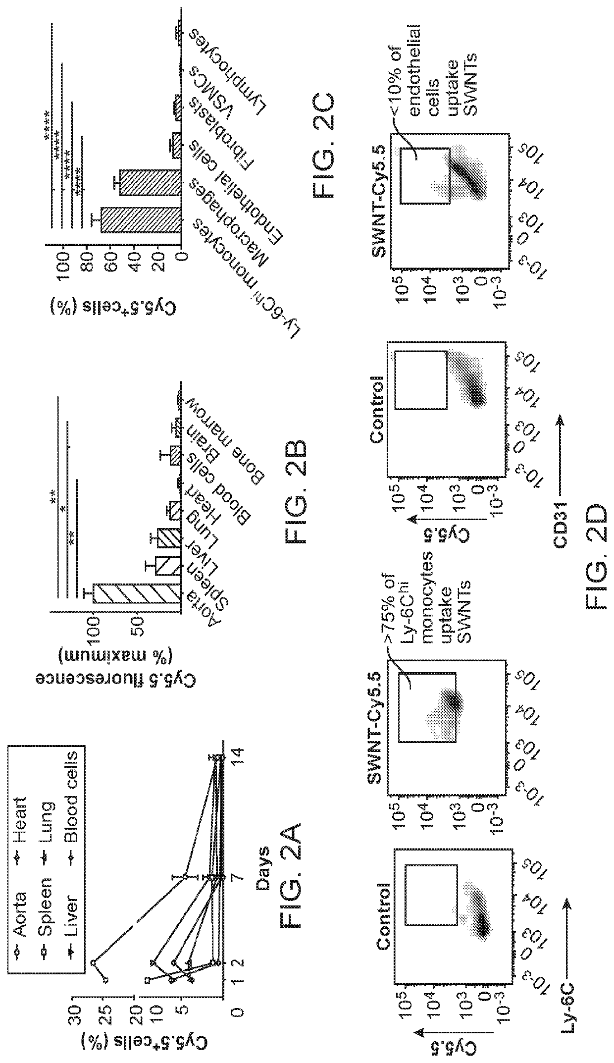 Monocyte-selective drug delivery system using single-walled carbon nanotubes to induce efferocytosis