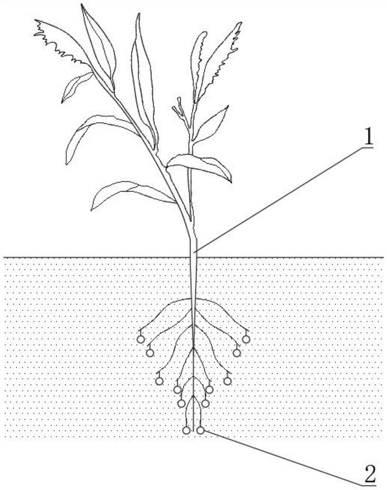 Ecological environment-friendly soil remediation method