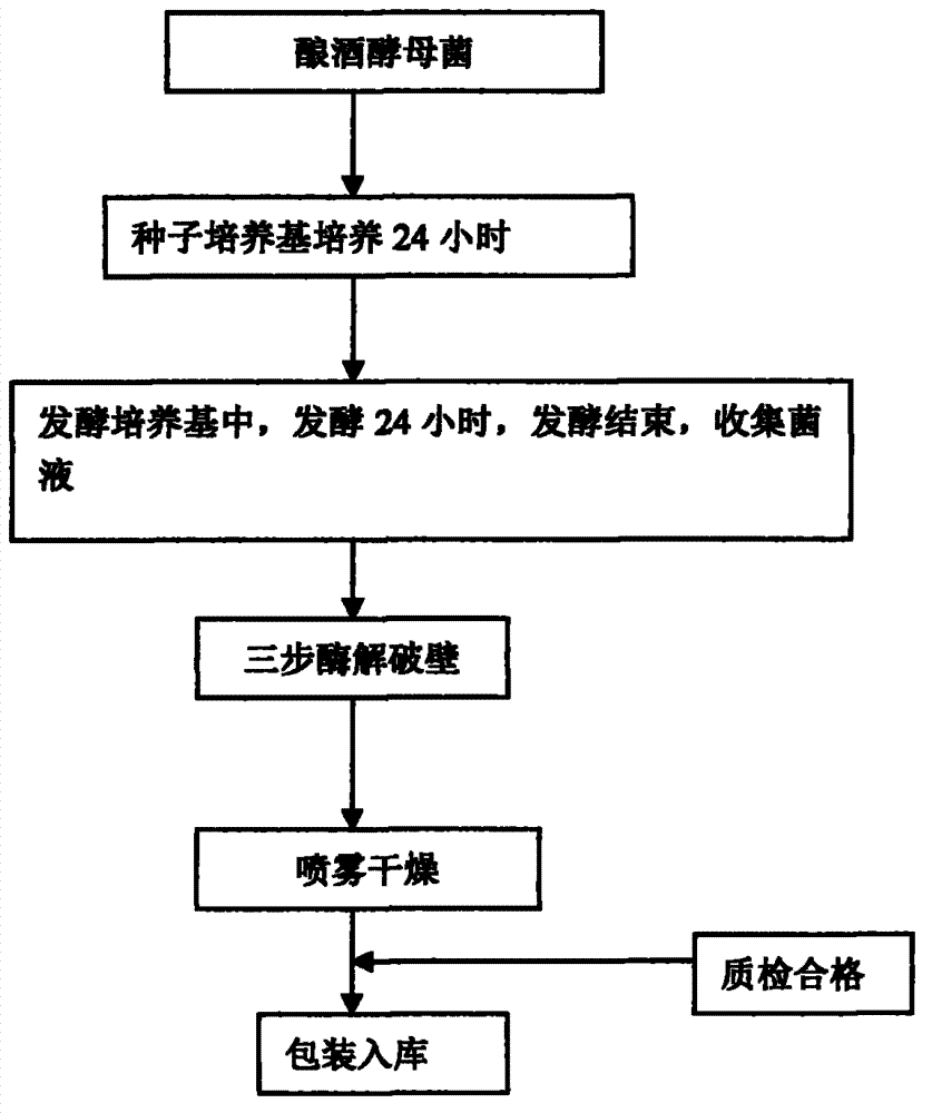 Three-step enzymatic hydrolysis method used for producing forage saccharomyces cerevisiae cells with broken-down walls