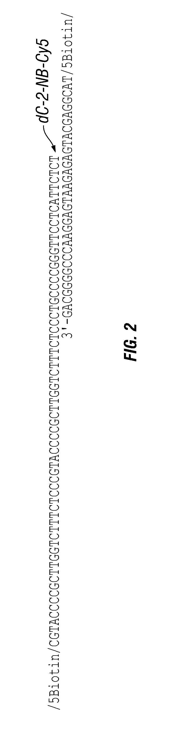 Antigen detection using photocleavable labels