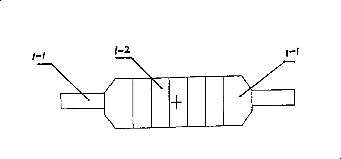 Permanent magnetism roller capable of generating fluctuation magnetic field