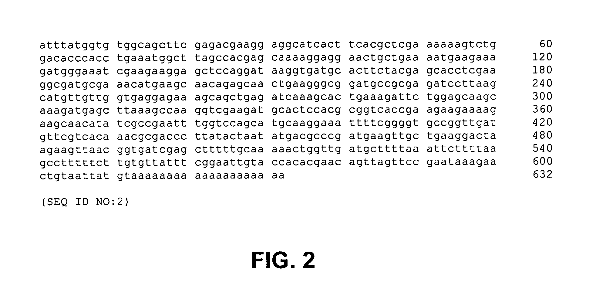 Methods, devices, kits and compositions for detecting roundworm