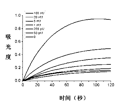 MicroRNA (ribonucleic acid) detection probe and method for detecting microRNA