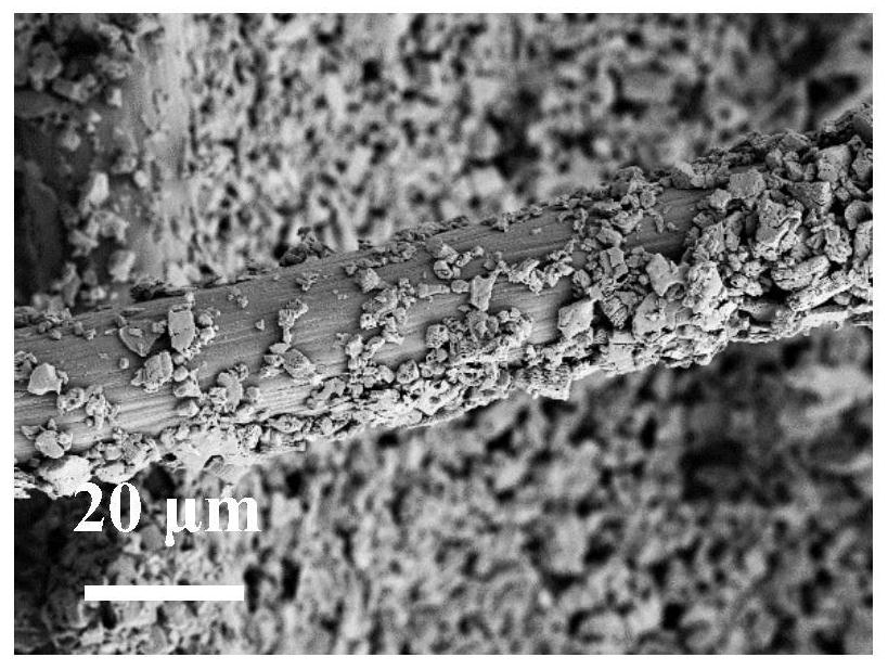 A preparation method of photothermal bioanode, photothermal bioanode and application thereof