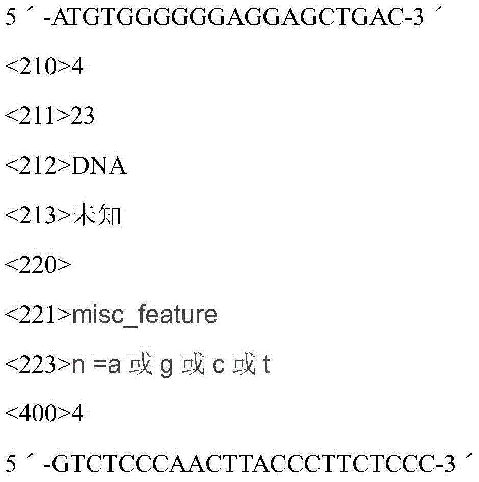 Method for correcting human genome damage through micro nutrient substances according to genetic background
