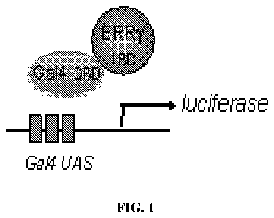 Err inverse agonists