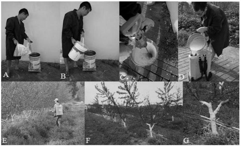 A kind of drying agent for peach tree and its preparation method and application