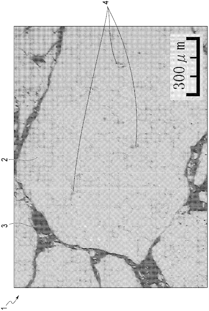 Molded rare-earth magnet and process for producing same