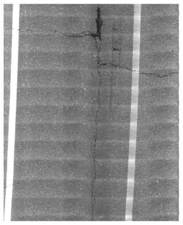 A Method for Processing Pavement Crack Image