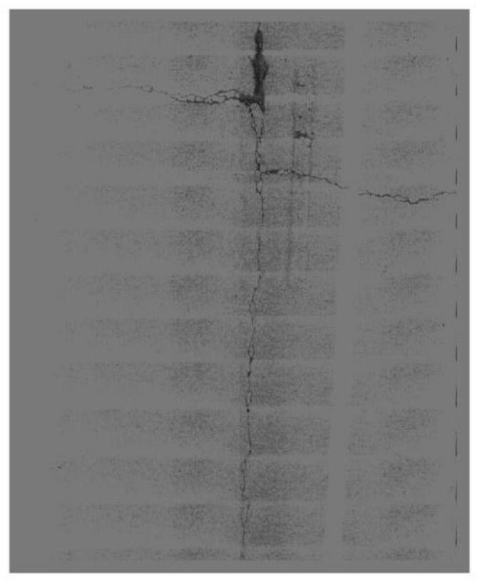 A Method for Processing Pavement Crack Image