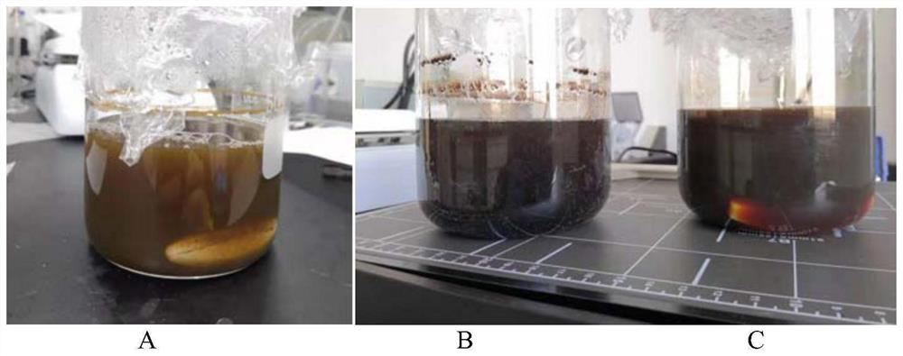 Zinc ion battery diaphragm for inhibiting dendritic crystal growth and preparation method