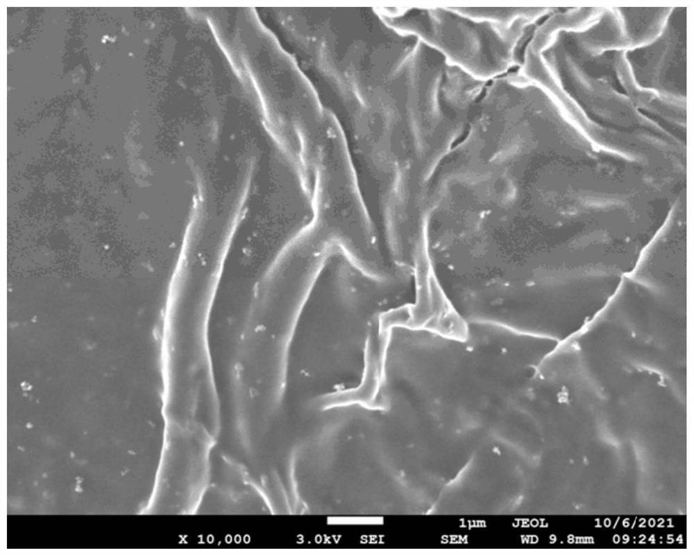 Zinc ion battery diaphragm for inhibiting dendritic crystal growth and preparation method