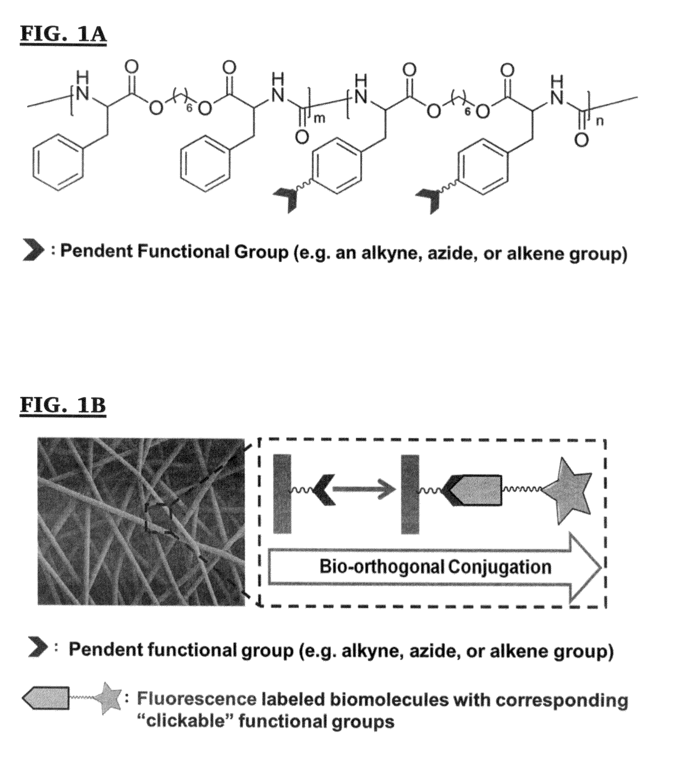 Methods for post-fabrication functionalization of poly(ester ureas)