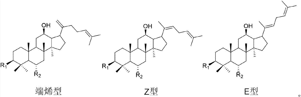 Preservation method of terminal olefin type rare ginsenosides