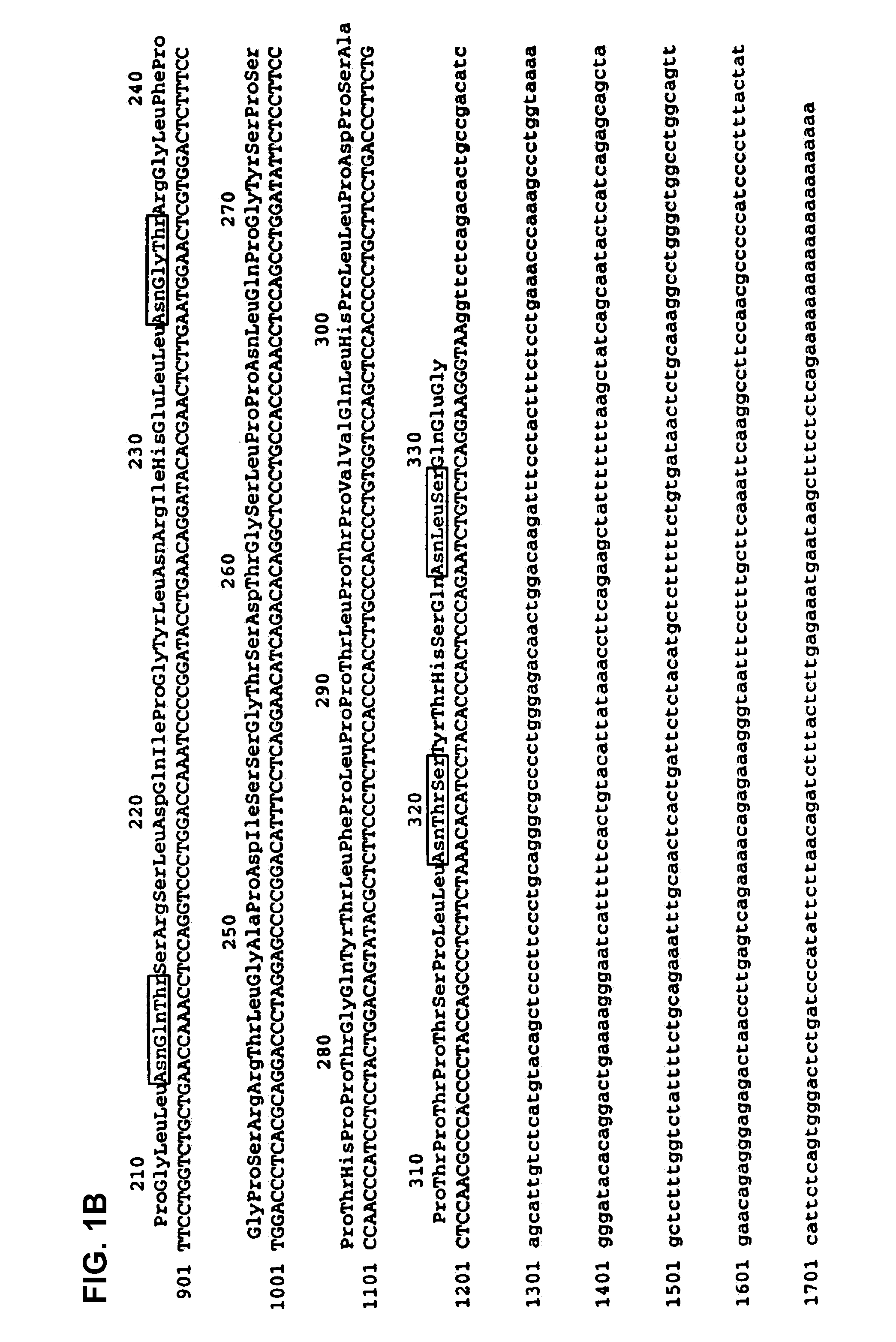 Method of treatment of thrombocytopenia or risk thereof using MPL ligand (thrombopoietin), variants, and fragments thereof