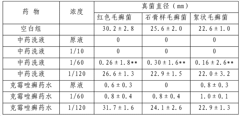 Chinese medicinal composition for treating superficial mycosis infection and medicinal composition thereof