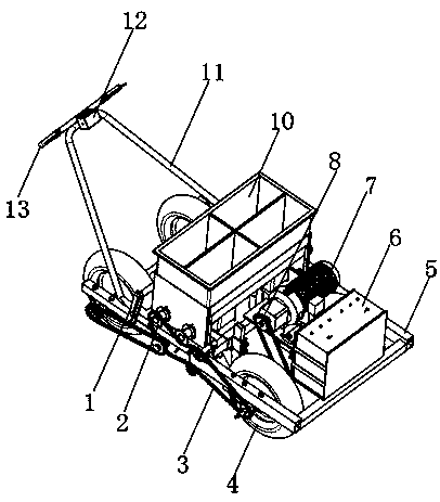 Method for interplanting fruits and vegetables