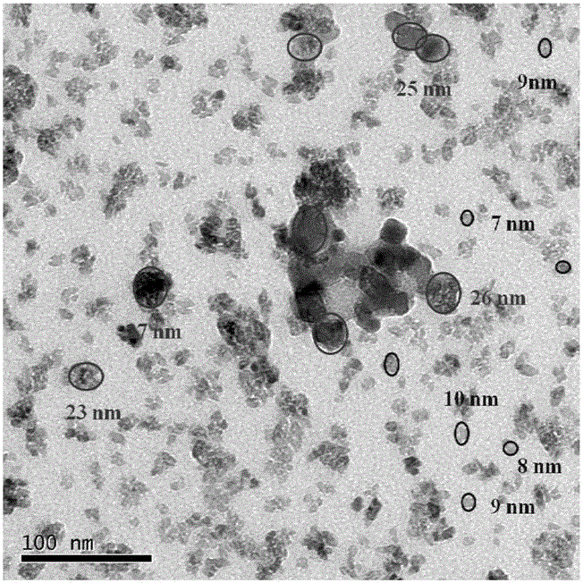 Nano titanium dioxide photocatalyst with double-particle size distribution and preparation method thereof