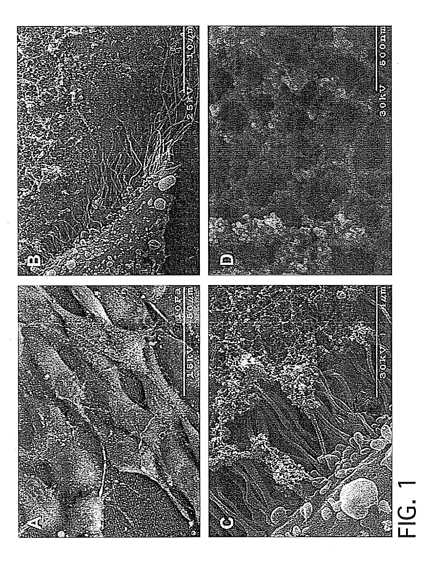 Method and apparatus for manufacturing plasma based plastics and bioplastics produced therefrom