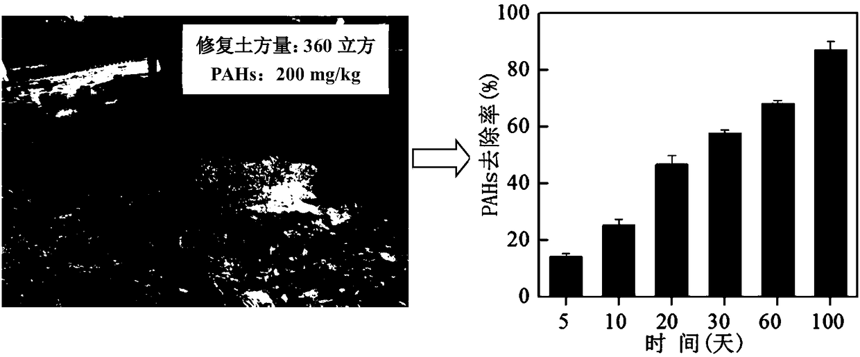 Medicament for in-situ repair of high-concentration polycyclic aromatic hydrocarbon polluted soil and application thereof