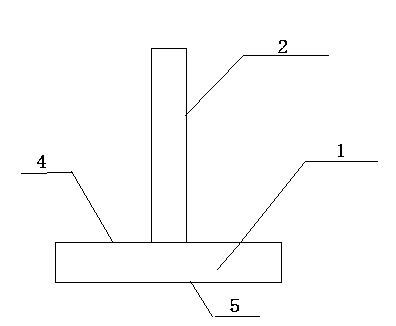 T-shaped structure